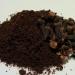 The spice clove ground and whole