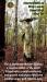 Birch Goddess Post