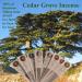 Cedar Grove Incenses  Limited Edition of 8 packs of 10 sticks.