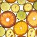 cross section of various citrus fruits cross section of various citrus fruits