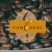 Coffee_Bean_Chocosol_Oaxaca_Anarres