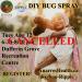 Workshop: DIY Bug Spray at Dufferin Grove CANCELLED