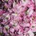 an array of Rose Petals Pink Certified Organic