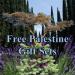 Free Palestine set post with background of cypress and cedar trees Free Palestine set post with background of cypress and cedar trees