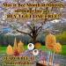 Candles and balms arranged around a tree promoting May as Bee Month