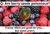 Post Are Berry Seeds Poisonous?