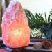 Salt Lamp: Himalayan kit beside leaves
