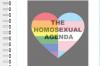 Sticker: Homosexual Agenda 6" x 4"