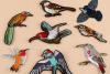 Patch: Fabric Embroidered Birds 4x6