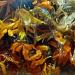 calendula flowers in oil