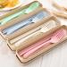 Cutlery: Straw Set, Container Blue