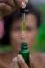 Photo of essential oil closeup