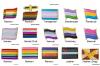 Pin: Pride Flags 1