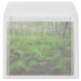 Glassine_Paper_Envelopes_Anarres_L