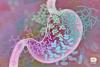 illustration of gut bacteria