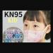 Mask: N95 Disposable for Smaller Faces