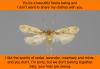 QUESTION OF THE MONTH: Deterring Fabric Moths post