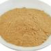 Extract: Papaya Fruit 10:1 Powder, sold by the gram