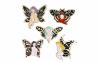  Enamel Faery Butterfly 4x6