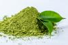  Green Tea 10% Polyphenols fresh