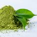 Extract: Green Tea 10% Polyphenols fresh