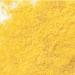 Extract: Pumpkin Powder, sold by the gram