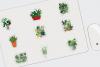 Sticker: Succulents and Cactii, 50 Kinds 4x6