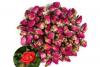 Rose Buds, Red, sold by the gram
