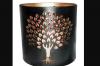 Judaica: Tree of Life Candle Holder