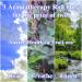 Clear Breath and Forest Aromatherapy Roll Ons Clear Breath and Forest Aromatherapy Roll Ons