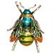 Bee_Brooch_Anarres_Green Bee_Brooch_Anarres_Green