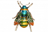 Bee_Brooch_Anarres_Green