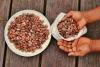 ChocoSol: Cacao Beans, Raw or Roasted, Bulk by the gram ChocoSol: Cacao Beans, Raw or Roasted, Bulk by the gram