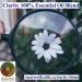 Clarity_EssentialOil_Blend_Anarres