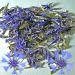 Cornflowers dried and whole, Certified organic Cornflowers dried and whole, Certified organic