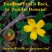 Damiana Leaf is Back  by Popular Demand! POST