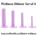 Dilator: Silicone 4 Piece Kit in Purple by Wellness