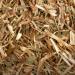 Echinacea angustifolia Root Cut & Sifted