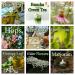 Herbs 30% off by the bag Herbs 30% off by the bag