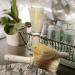 Japanese_Broom_Scrubbers_Anarres POST Japanese_Broom_Scrubbers_Anarres POST