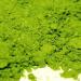 Matcha Green Tea, Organic