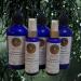Raindance Moisturizing Hand & Body Lotion BOTTLES WITH WET EVERGREENS