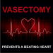 Sticker: Pro Choice vasectomy