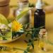 Herbs and a dandelion with tincture and cork bottles