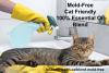 bathroom-home-cleaning-sink_cat_mold_Anarres_156KB