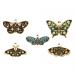 Pin: Enamel Butterfly Brooch Gold Plated