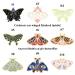 Enamel butterfly brooches poster