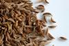 Caraway Seeds, sold by the gram Caraway Seeds, sold by the gram