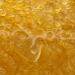 Resin: Pine, COLOPHONY FLUID, by the gram
