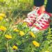 The Medicine at Your Feet: DIY Herbal Oils and Teas